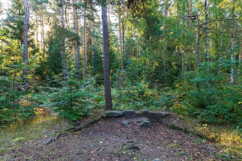 Remains of the foundations of St. Catherine's Chapel on Einsiedlerstein in the Dippoldiswald Heath,