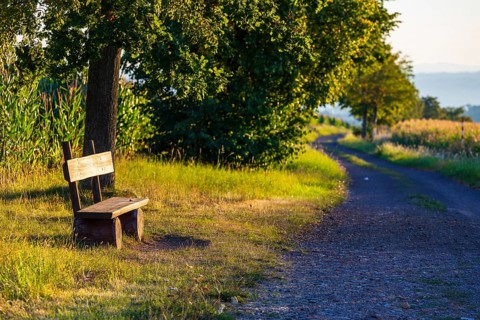 Bank on the roadside between fields, Bannewitz, Saxony, Germany