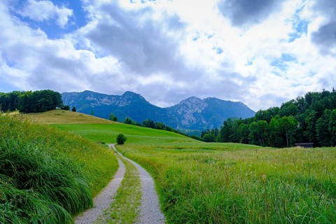Hiking trail near Gschwendt an der Kesselalm near Inzell, Chiemgau, Upper Bavaria, Bavaria, Germany