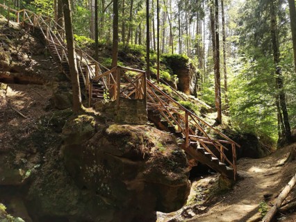 Wooden stairs lead through a forest surrounded by rocks, shadows and light play give an adventurous