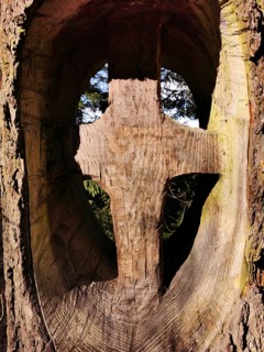 Wooden cross carved into a tree trunk steeped in sunlight, hiking in the Frankenwald nature park