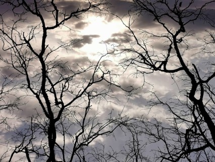 Dramatic sky with clouds and sunlit branches in silhouette, hiking along the green belt, Franconian