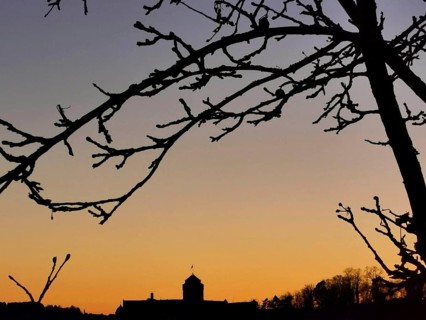 Branches in the foreground against a colorful sunset sky with the silhouette of Rosenberg Fortress