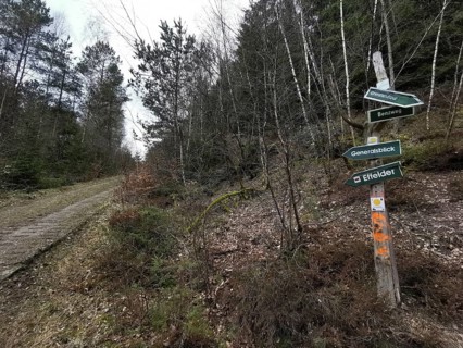 Signs guide hikers through a wooded path in autumn, on the former inner-German border, hiking along