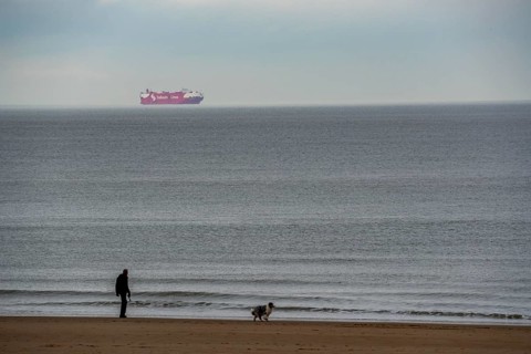 Winter break, on the Zeedijk-Knokke, beach promenade in Knokke-Heist, beach walkers with dogs,