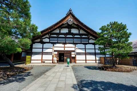 Japanese woman dressed in kimono in front of Kenninji Hombo, Kennin-ji Buddhist Temple,