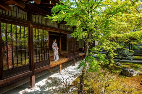 Japanese woman dressed in kimono in Kennin-ji Buddhist temple, O-shoin courtyard with Shione