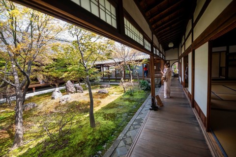 Japanese woman dressed in kimono, O-shoin courtyard with Shione garden, Kennin-ji Temple,