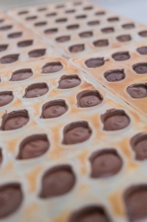 Filled chocolate mold with solidifying chocolate, vegan chocolates production, Haselstaller Hof,