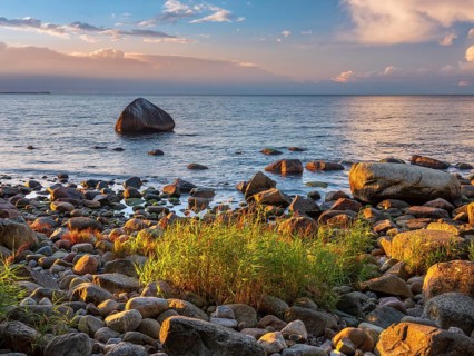 Sunset on the Baltic Sea, boulders and reeds on the shore in the last light, Schwanenstein in the