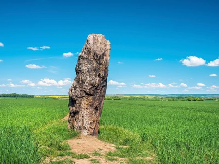 The menhir of Benzingerode, with a height of 3.85 m the largest prehistoric menhir in northern