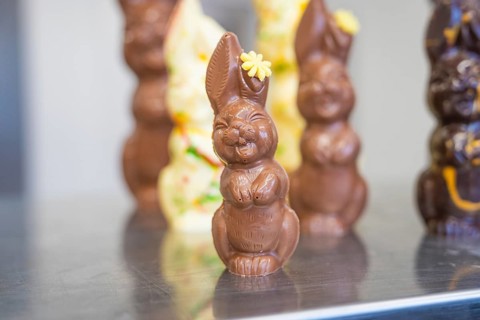 Chocolate bunnies in various sizes as classic Easter decoration, Easter production of regional