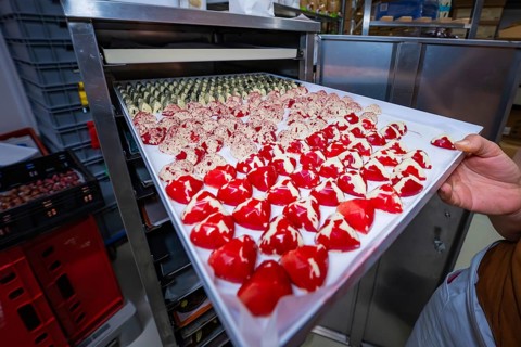 Several chocolate molds on a baking tray, including red-white and nutty patterns, Easter production