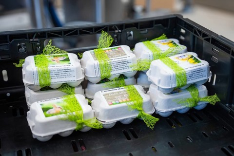 Several egg boxes with green ribbons packed in a black box, chocolate quail eggs, Easter