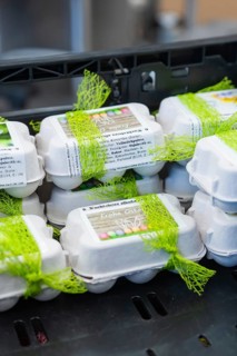 Easter wrapped egg cartons with green decoration in a kitchen, chocolate quail eggs, Easter