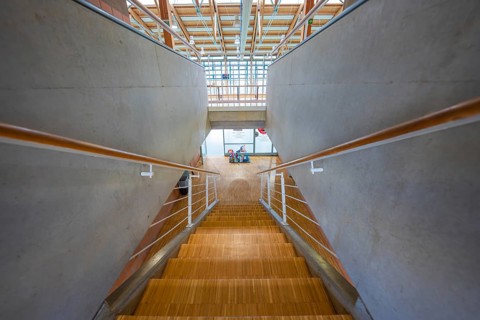 Wooden staircase with concrete walls in a modern public building, Schlehengäu Sporthalle Gechingen,