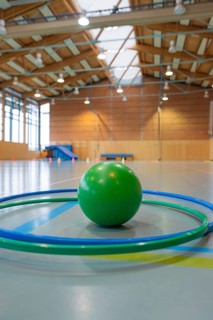 Green ball surrounded by tires in a large gym with wooden ceiling, Schlehengäu Sporthalle