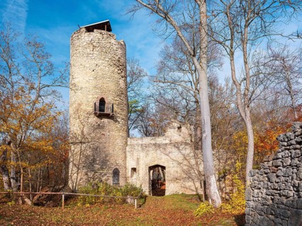 The ruins of Schauenforst Castle in autumn, near Rödelwitz, OT of Uhlstädt-Kirchhasel,