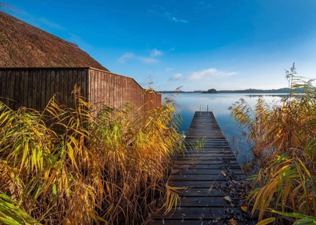 Jetty and boathouse at Schaalsee in morning light, reeds in autumn colors, Schaalsee Biosphere
