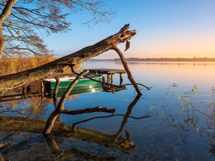 Tree trunk, jetty, and rowing boat at Schaalsee in the first morning light, reeds in autumn colors,