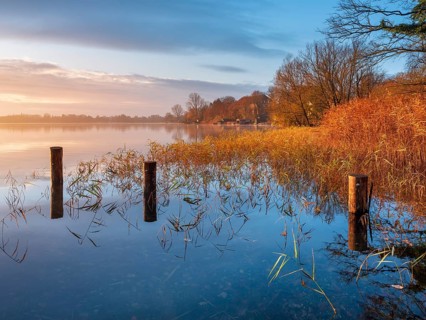 Posts and reeds in Schaalsee in the first morning light, reeds in autumn colors, Schaalsee