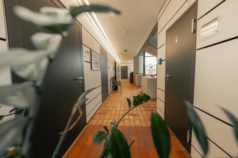 Modern corridor in office building with plants and doors, bright lighting, interior view, Gechingen
