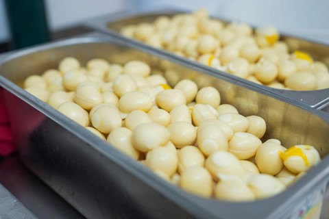 Lots of boiled eggs in stainless steel containers on a kitchen table, chocolate quail eggs, Easter
