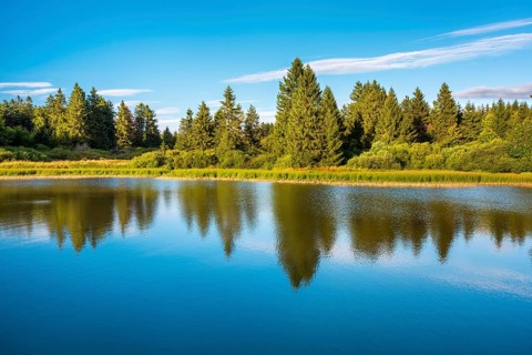 Trout pond under blue sky, forest reflected, Vogelsberg Volcanic Region nature park Park, Hesse,
