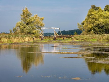 Traditional wooden bridge, folding bridge, across the Trebel River in the Trebel Valley, Peenetal