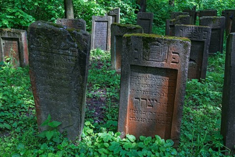 Lezajsk Jewish Cemetery, Poland