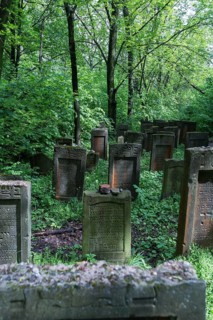 Lezajsk Jewish Cemetery, Poland