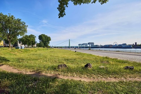 Herbert-Liebertz-Wiese, Rhine river, footpath, lawn, trees, branches, stones, general architecture,