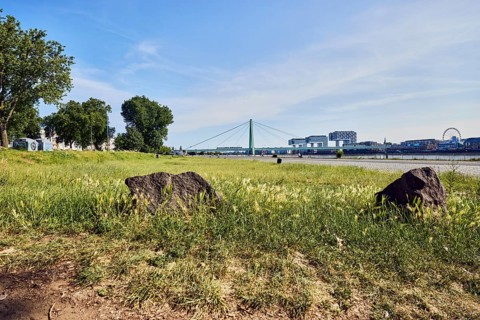 Herbert-Liebertz-Wiese, Rhine river, trail, lawn, trees, branches, stones, general architecture,