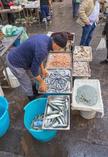 Fish Market, Catania, Catania province, Sicily, Italy