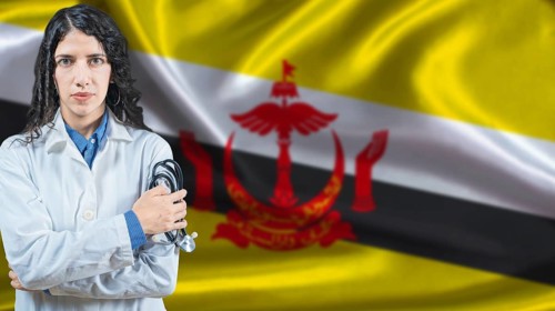 Bruneian national health system, Medical professional on Brunei flag background