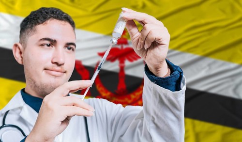 Doctor holding syringe on Brunei flag background. Medical professional holding syringe with