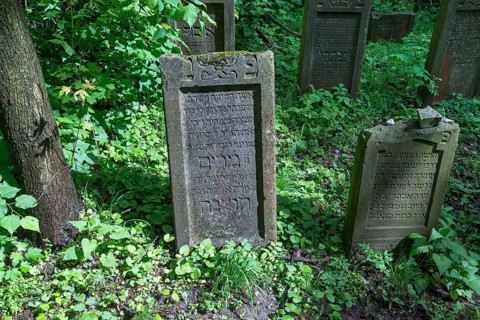 Tombstones at the Jewish cemetery in Lezajsk, Poland