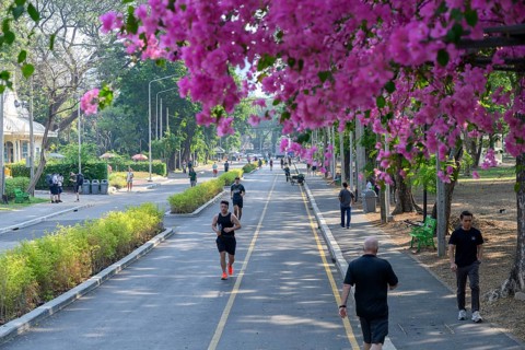 Bangkok, Thailand. March 4th 2025. Lumphini Park in Bangkok, a popular green space for jogging or
