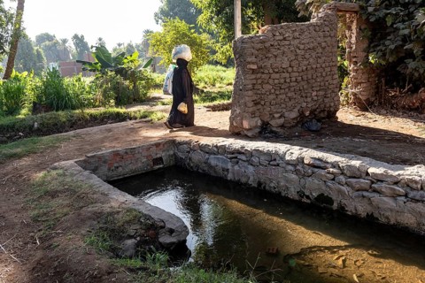 Aswan, Egypt. 9th December 2020 A Nubian woman carrying shopping walks past an irrigation channel