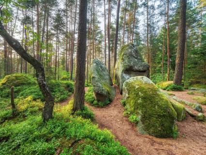 Geotope of God's hands, rock formation in pine forest, Lerautal near Leuchtenberg, Upper