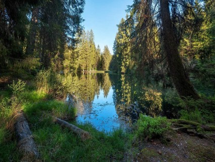 The Werrateich near the Rennsteig, Masserberg, Thuringian Forest nature park Park, Thuringia,