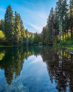 The Werrateich near the Rennsteig, Masserberg, Thuringian Forest nature park Park, Thuringia,