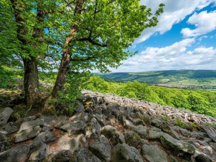 Blockheap on the Schafstein, former rock glacier, view over the Rhön countryside, Hessian Rhön,