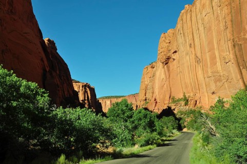 A road leads through a green gorge with distinctive rocks and lush greenery in a desert, Grand