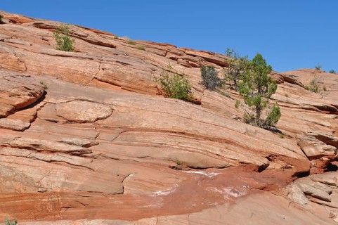 Large reddish rocks with visible layers and sparse plant growth under a blue sky, Grand Staircase