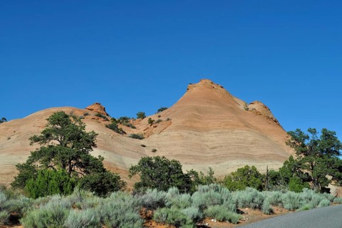 Layered rock hills in a desert landscape with trees, Grand Staircase Escalante National Monument,