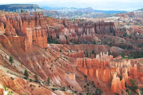 Impressive rock formations and canyons with isolated trees in Bryce Canyon National Park, Utah, USA