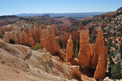 Red rock formations with trees in a canyon landscape with blue sky, Bryce Canyon National Park,