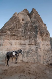 Cappadocia, Turkey. November 8th 2017 A horse tethered to volcanic rock at Lucky Horse Ranch,