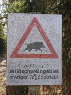 Warning sign against wild boars and hunting area in a forest, Franconian Forest nature park Park